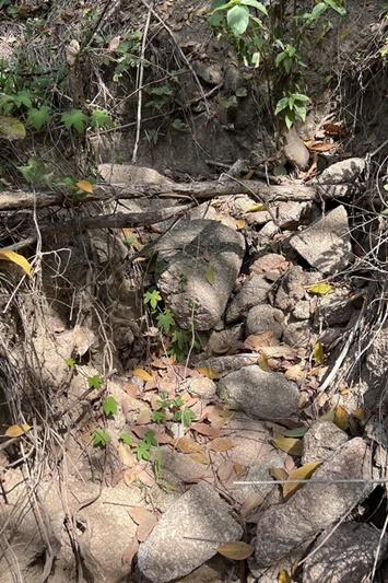 ภาพประกอบที่ 19