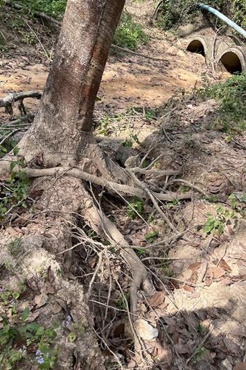 ภาพประกอบที่ 22