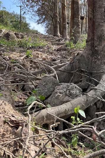 ภาพประกอบที่ 23