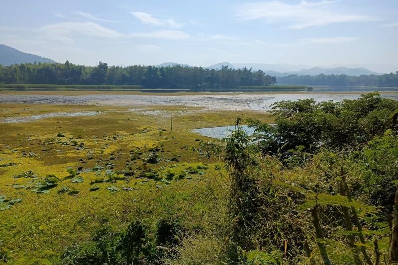 ภาพประกอบที่ 1