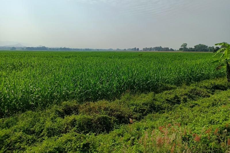 ภาพประกอบที่ 6