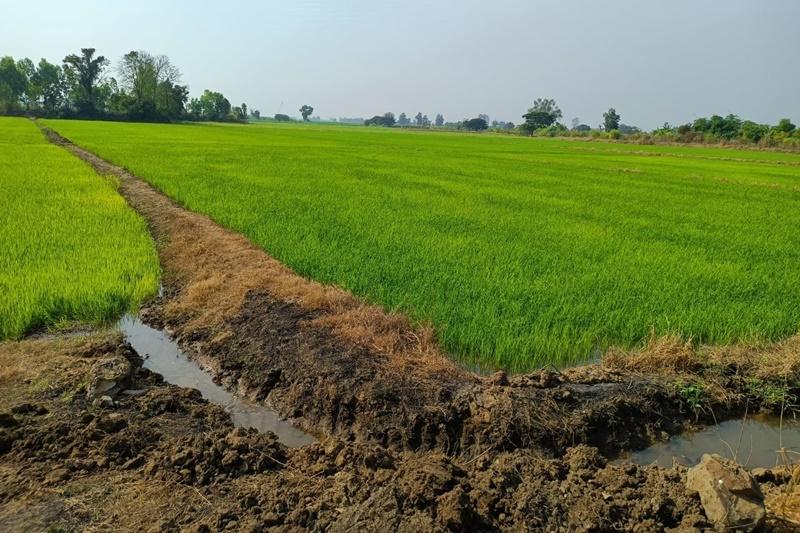 ภาพประกอบที่ 9