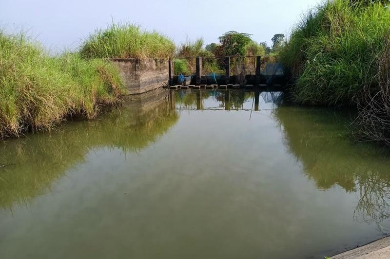 ภาพประกอบที่ 10