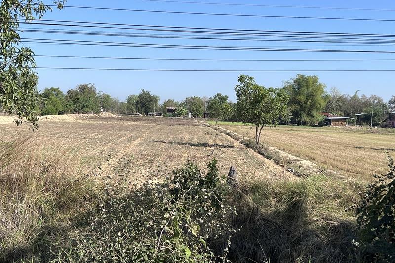 ภาพประกอบที่ 5