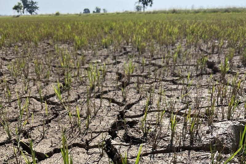 ภาพประกอบที่ 6