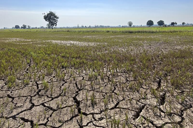 ภาพประกอบที่ 7