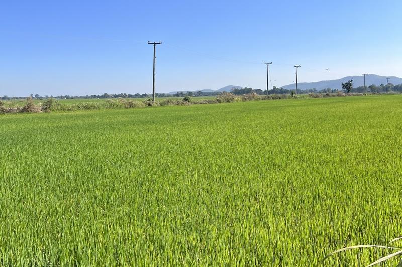 ภาพประกอบที่ 8