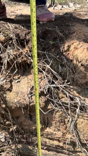 ภาพประกอบที่ 6