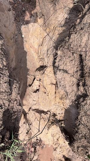 ภาพประกอบที่ 7