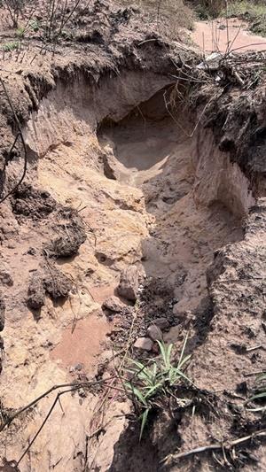 ภาพประกอบที่ 8