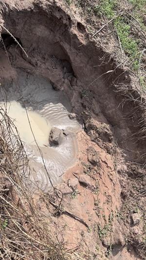 ภาพประกอบที่ 9