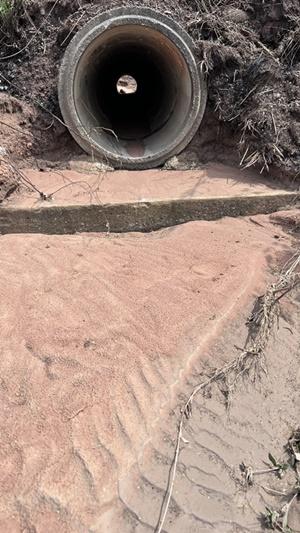 ภาพประกอบที่ 10