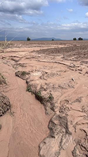 ภาพประกอบที่ 13