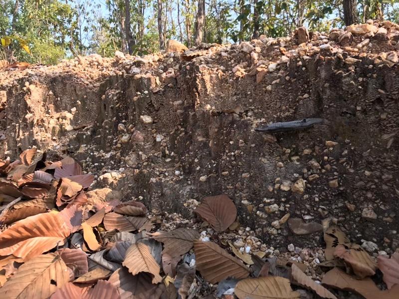 ภาพประกอบที่ 1