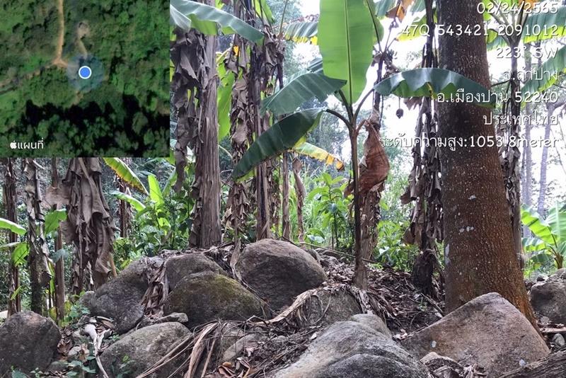 ภาพประกอบที่ 9