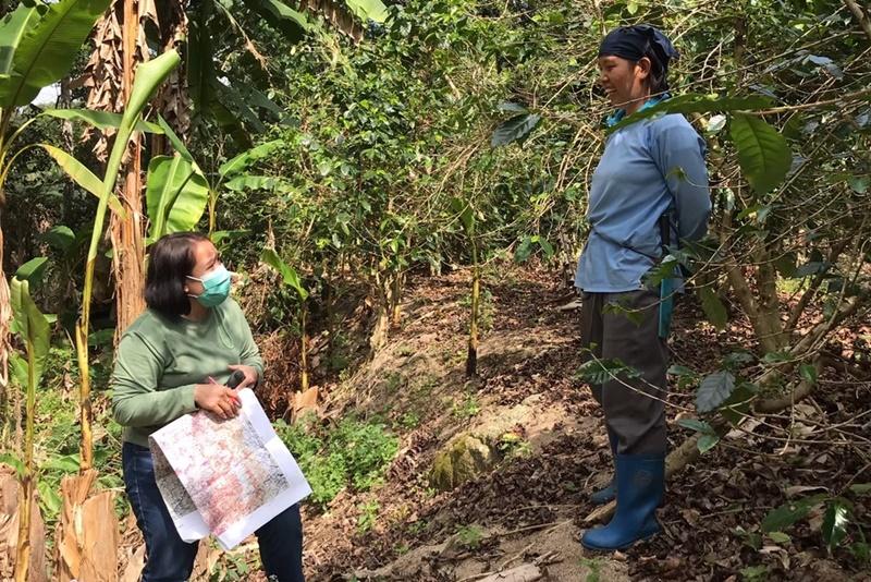 ภาพประกอบที่ 10