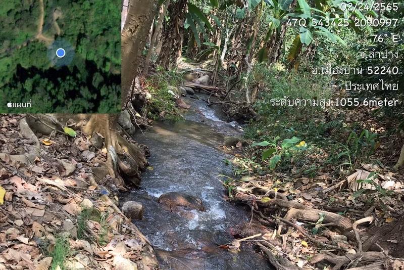 ภาพประกอบที่ 12