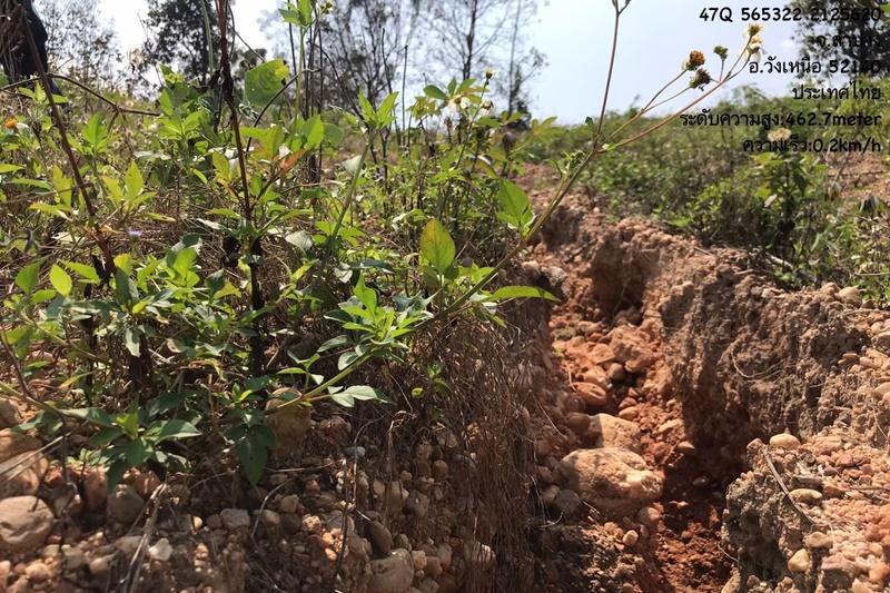 ภาพประกอบที่ 17