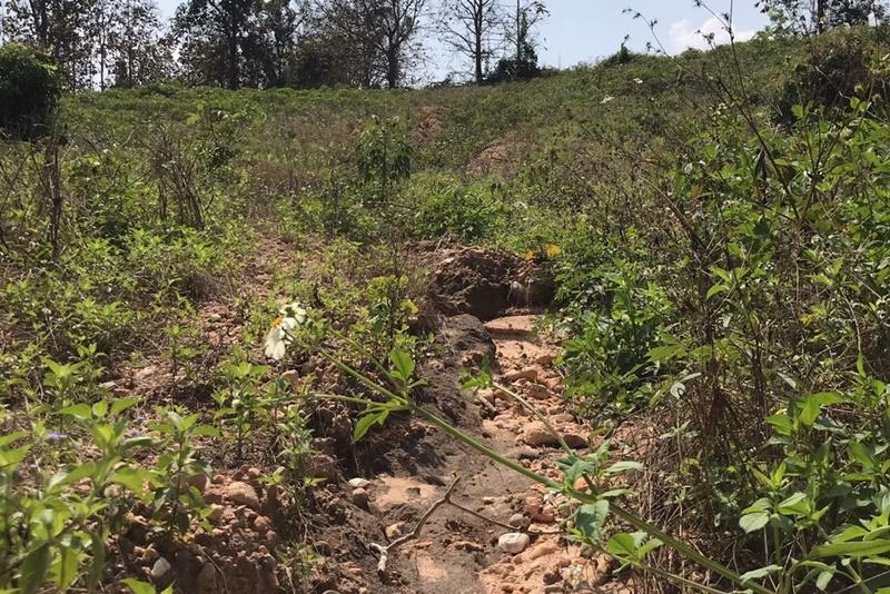 ภาพประกอบที่ 19