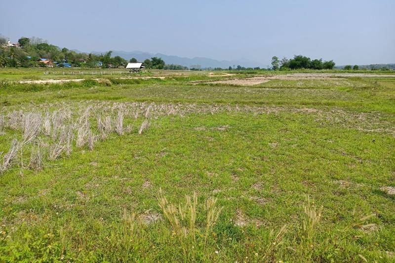 ภาพประกอบที่ 6