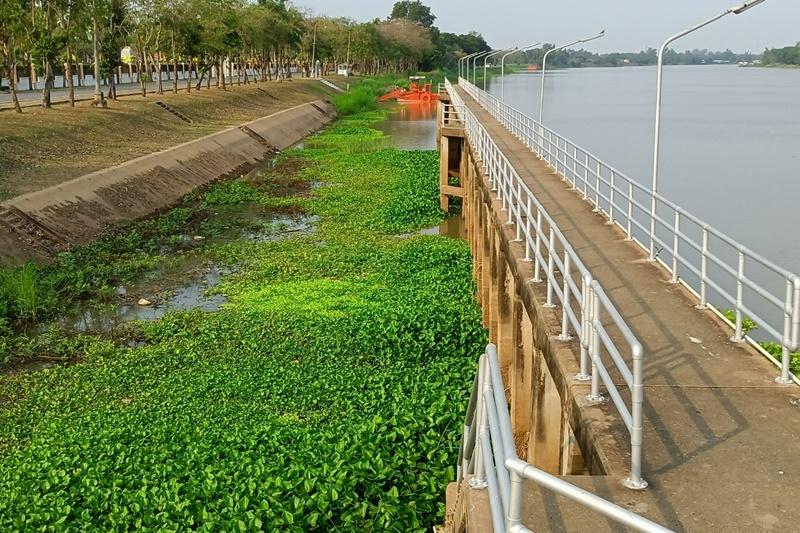 ภาพประกอบที่ 5