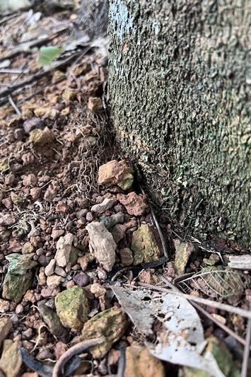 ภาพประกอบที่ 6