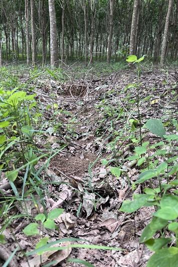 ภาพประกอบที่ 8