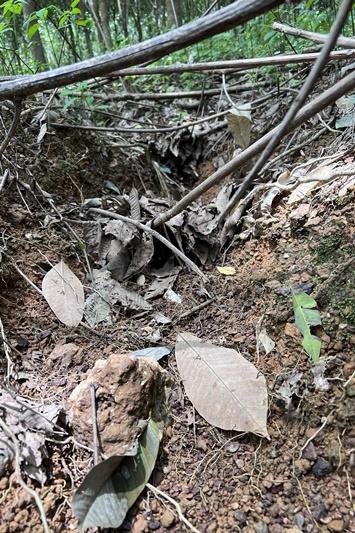 ภาพประกอบที่ 9