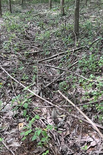 ภาพประกอบที่ 10