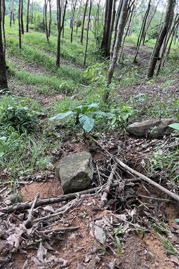 ภาพประกอบที่ 13