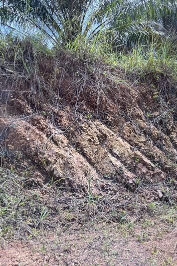 ภาพประกอบที่ 15