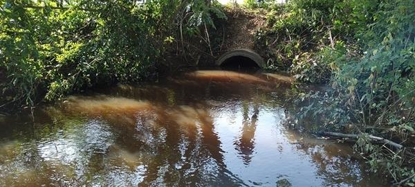 ภาพประกอบที่ 6