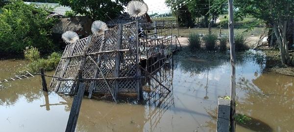 ภาพประกอบที่ 7