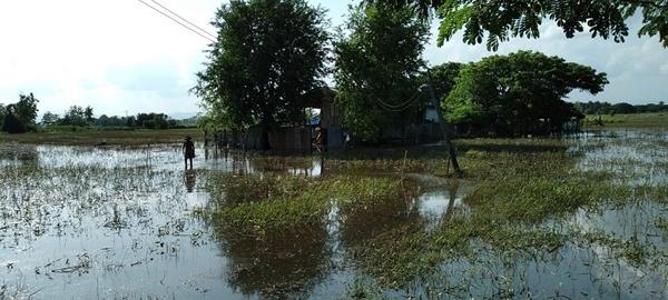 ภาพประกอบที่ 9