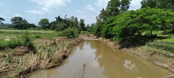 ภาพประกอบที่ 10