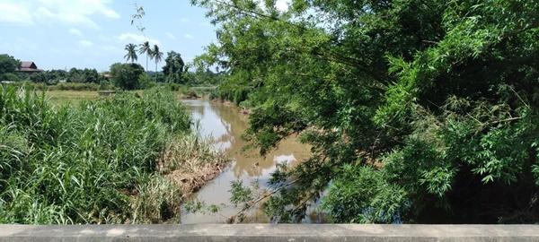 ภาพประกอบที่ 11