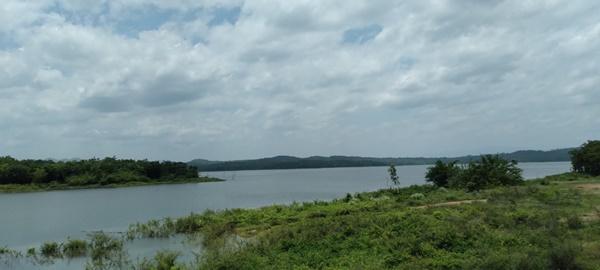 ภาพประกอบที่ 20