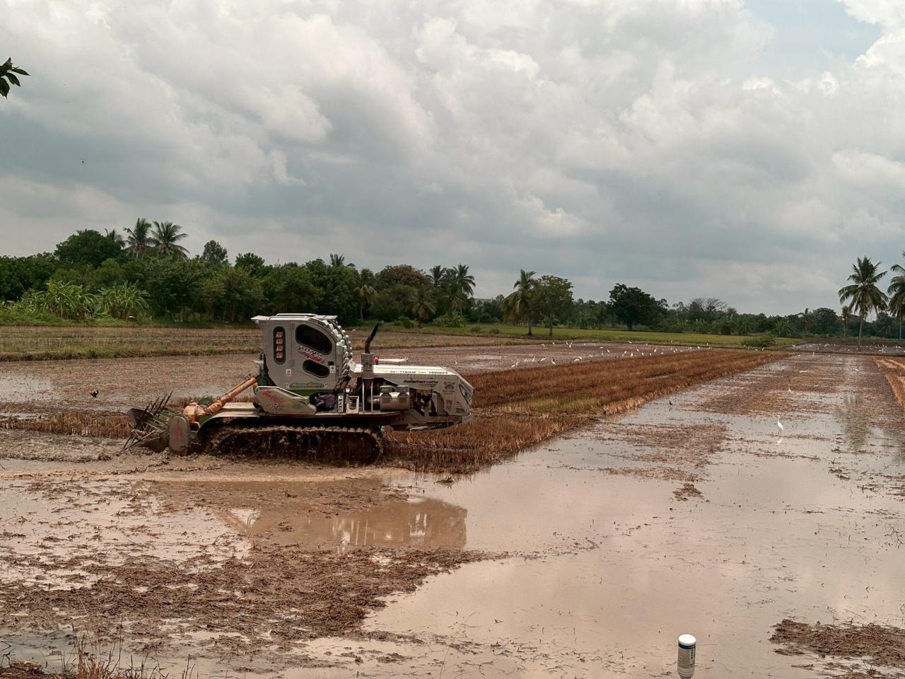 ภาพประกอบที่ 0