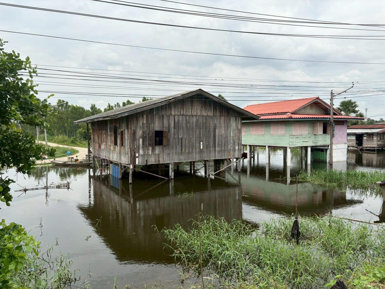 ภาพประกอบที่ 3