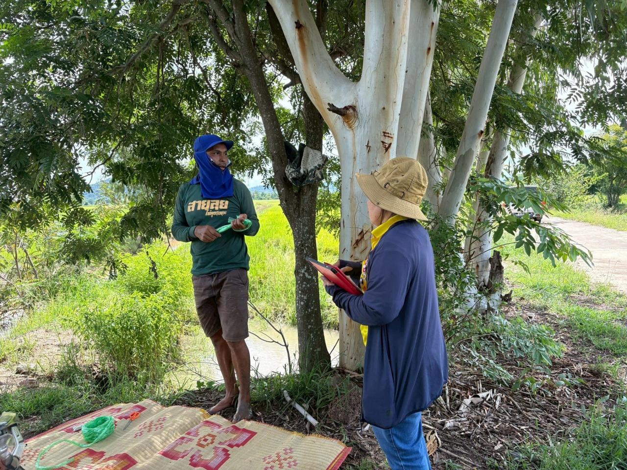 ภาพประกอบที่ 9