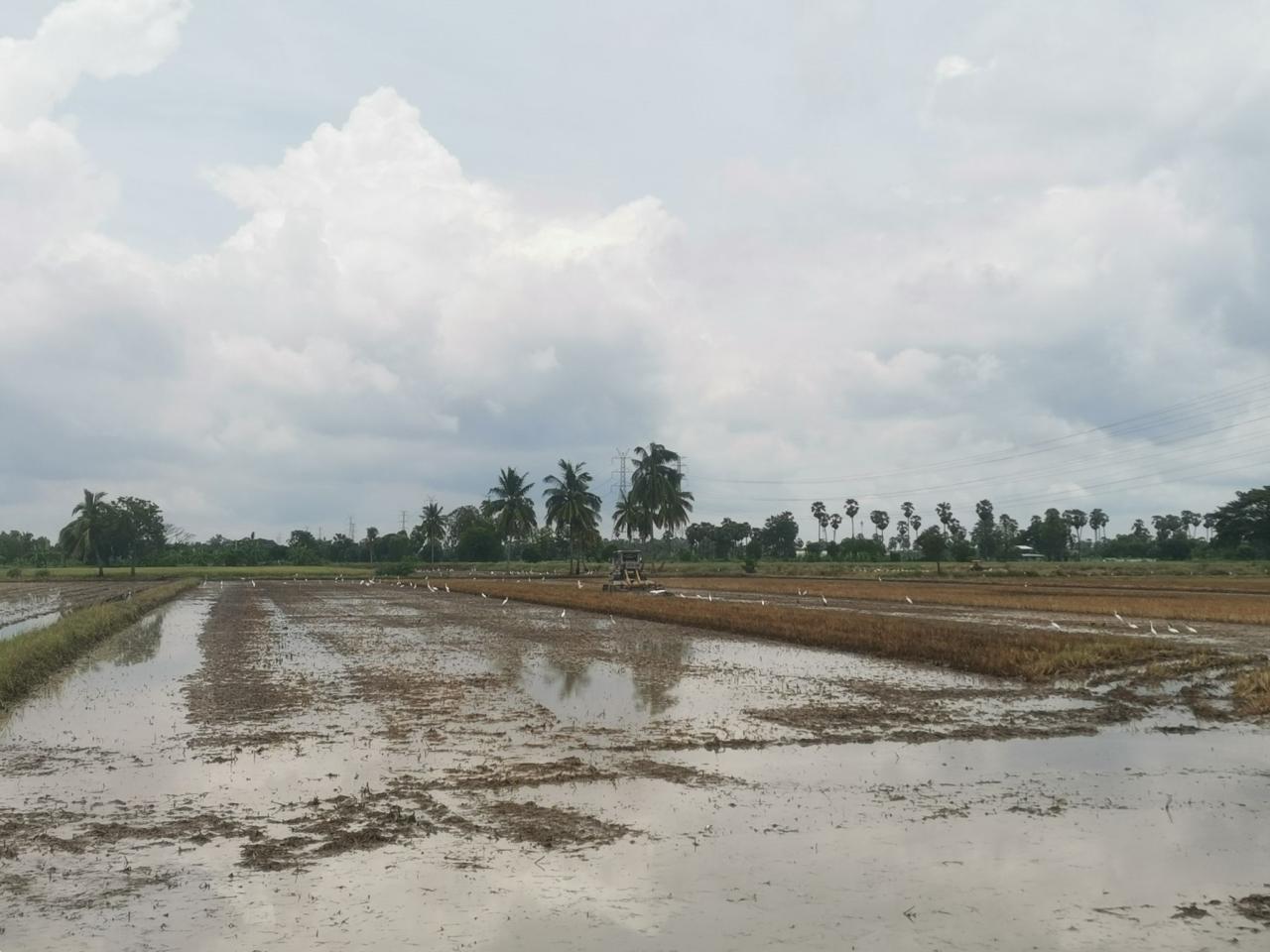 ภาพประกอบที่ 10