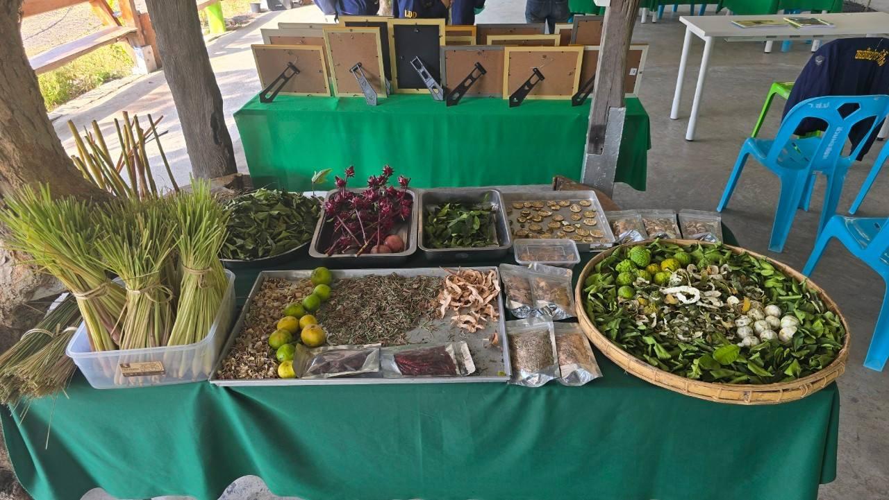 ภาพประกอบที่ 8