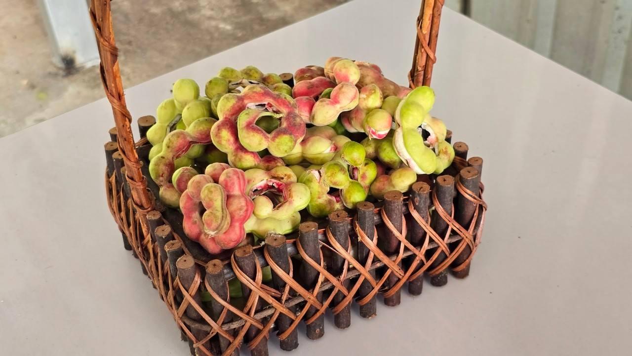 ภาพประกอบที่ 21