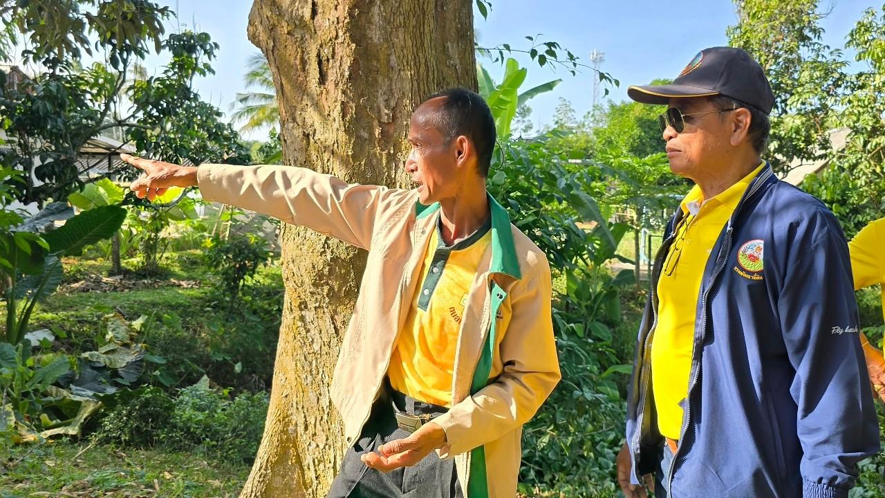 ภาพประกอบที่ 5