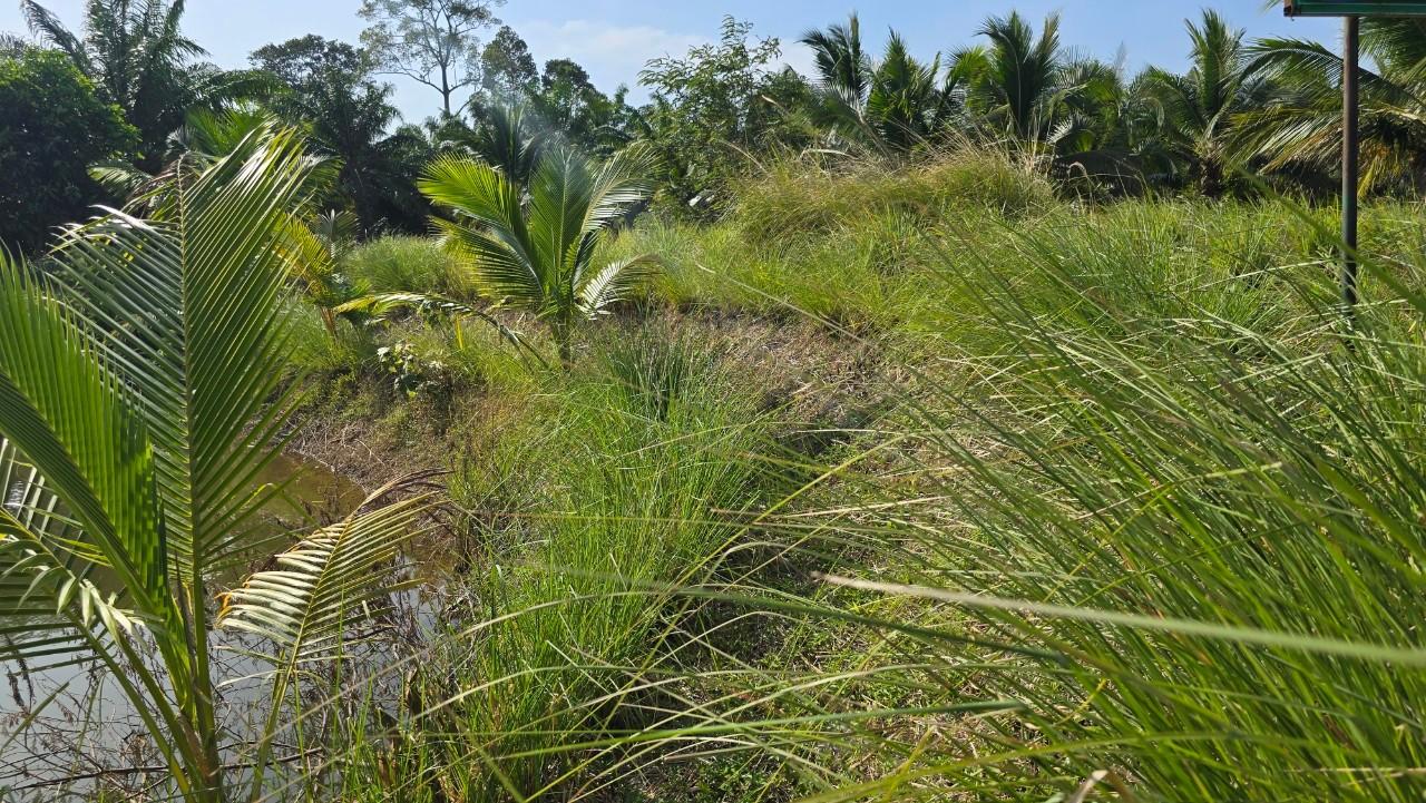 ภาพประกอบที่ 7