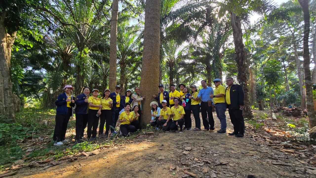 ภาพประกอบที่ 11