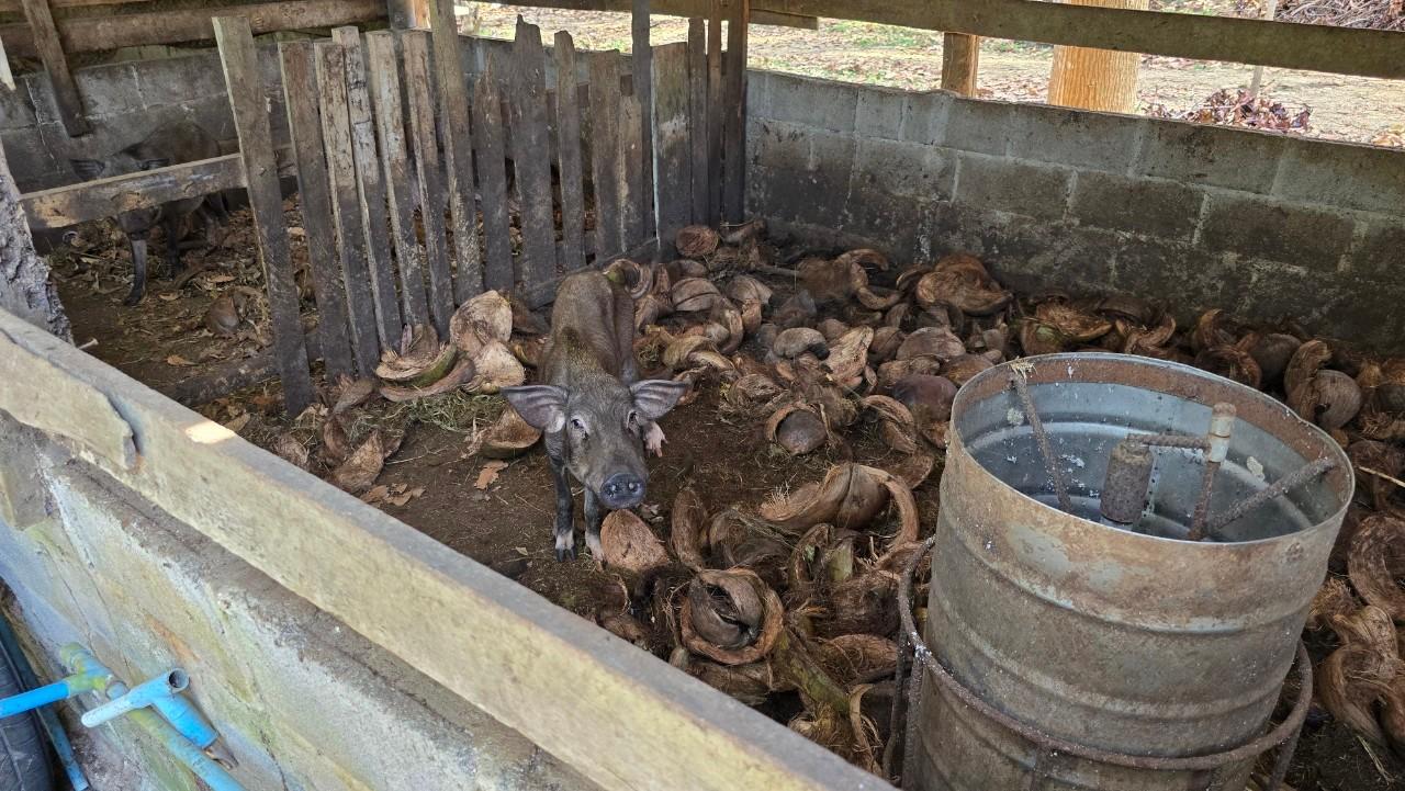 ภาพประกอบที่ 13