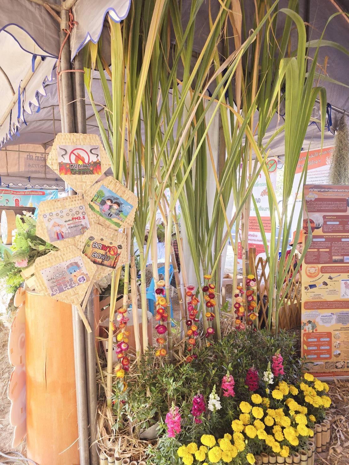 ภาพประกอบที่ 4