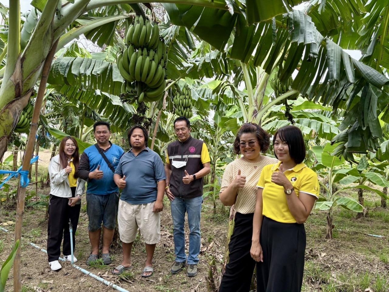 ภาพประกอบที่ 8