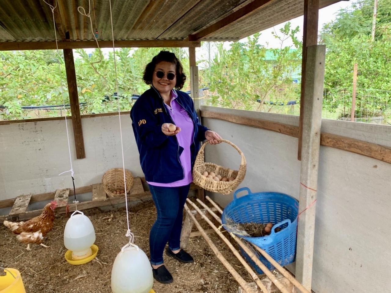 ภาพประกอบที่ 4